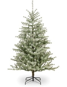 GREENLAND FIR