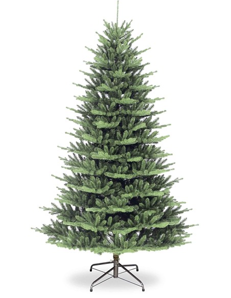 POLY ASBURY SPRUCE