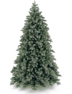 POLY COLORADO SPRUCE