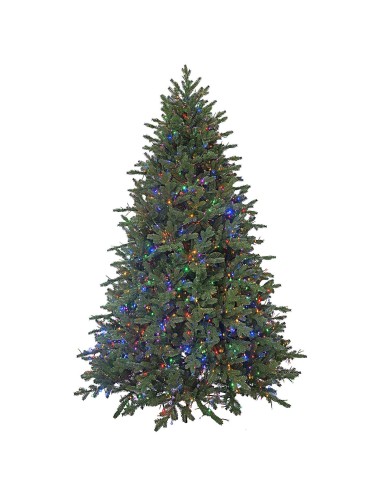 POLY PRINCETON FRASER FIR PRELIT 10 FUNZIONI