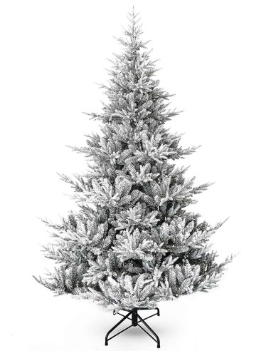 POLY SNOWY NORDMANN PRELIT