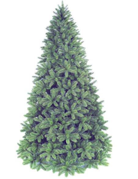 POLY GRODEN SPRUCE
