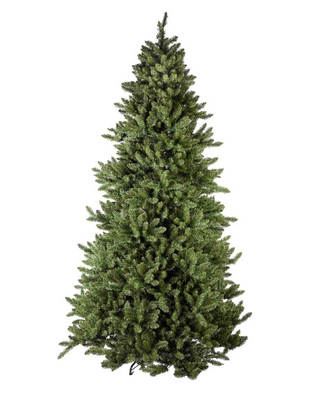ROBSON PINE