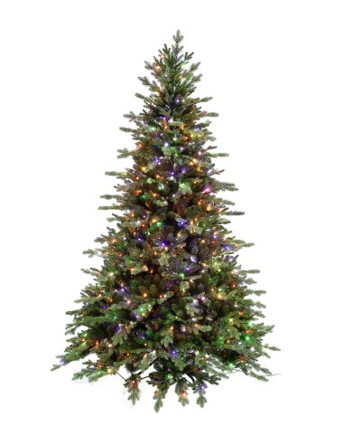 POLY BRIDGE MOUNTAIN PRELIT