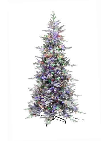 POLY GRAYS SPRUCE PRELIT