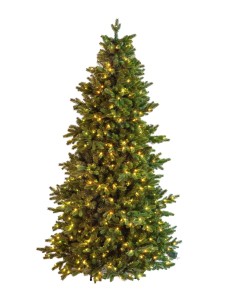 POLY JOFFRE TWINKLY PINE