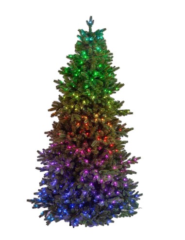 POLY JOFFRE TWINKLY PINE