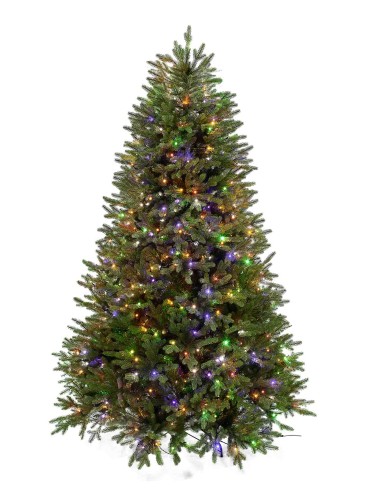 POLY ORTLES SPRUCE PRELIT