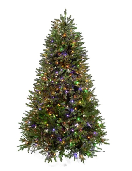 POLY ORTLES SPRUCE PRELIT