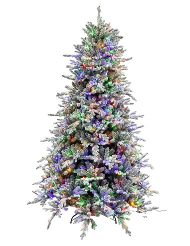 POLY SNOWY GLACIER PEAK PRELIT