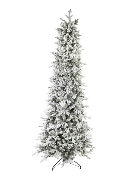 POLY SNOWY GOODSIR PRELIT