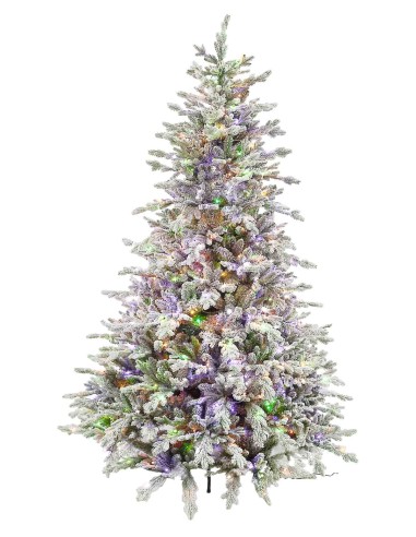 POLY SNOWY STUART PRELIT