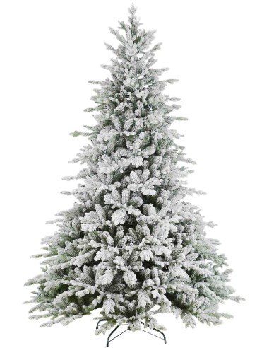 POLY SNOWY STUART PRELIT