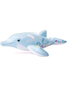58535 CAVALCABILE DELFINO